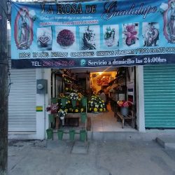 Florería La Rosa De Guadalupe
