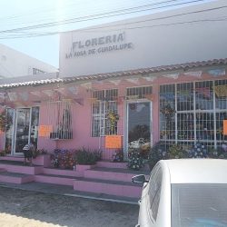 Floreria La Rosa De Guadalupe