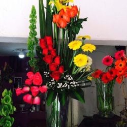 Florería La Rosa De Sarón