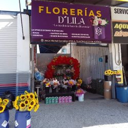 Floreria, La Rosa Y El Clavel D'lila