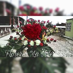 Florería "la Valentina"