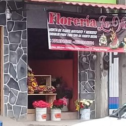 Floreria La Villa