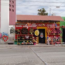 Florería La Villita