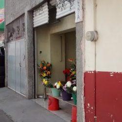 Floreria Lagunilla