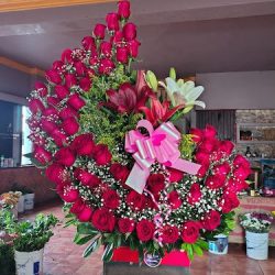 Florería Las Bugambilias