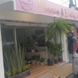 Florería Las Orquídeas