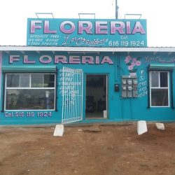 Florería Las Orquídeas