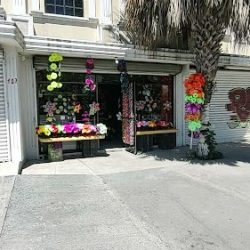 Florería Las Palmas