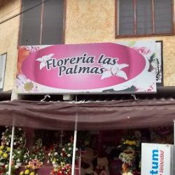 Florería Las Palmas Garmendia