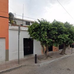 Floreria Las Rosas