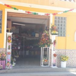 Florería Las Rosas De Aurelia