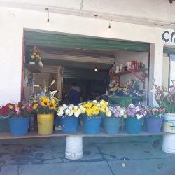 FlorerÍa Las Torres