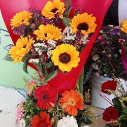Floreria Las Tulipanes