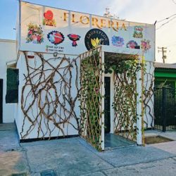 Florería Laureflor (diseño & Decoración)