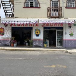 Florería Lauris