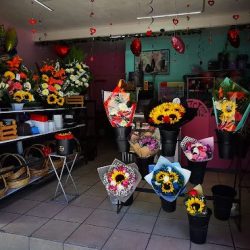 Florería Leflore 🌷🌻