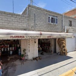Floreria Leon 2