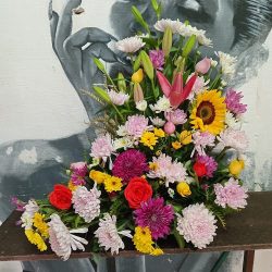 Florería Leon Gto .