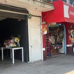 Florería "les Pétunias"
