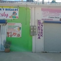 Florería Lesly