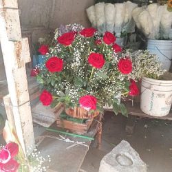 Florería Leslye