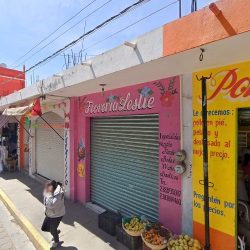 Floreria Lestie