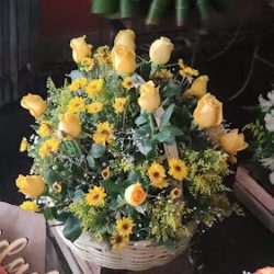Florería Lia