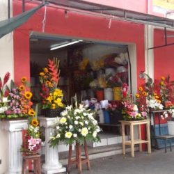Florería Lidia