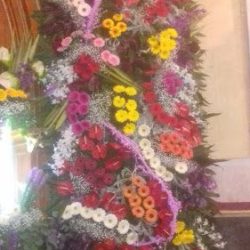 Floreria "lilÍ"