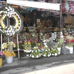 Floreria Lili