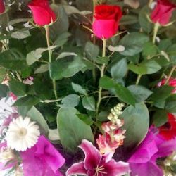Floreria Liliana