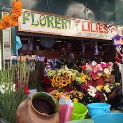 Floreria Lilies Etla Oaxaca