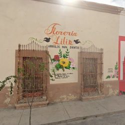 Floreria Lilis