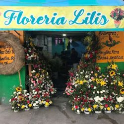 Florería Lilis