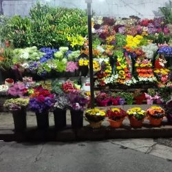 Floreria Lilis