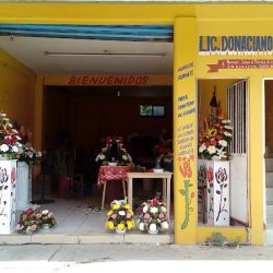 Floreria Lilis