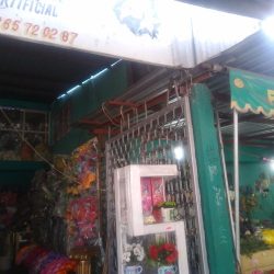 Floreria Lilis