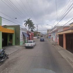 Floreria Lilis