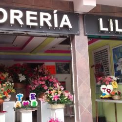 Floreria Lilis