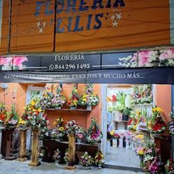 Floreria Lilis