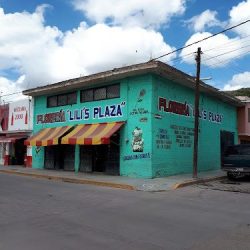 Florería Lilis Plaza