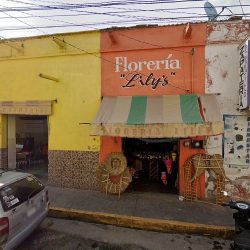 Florería Liliz