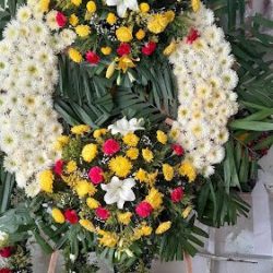Floreria Liliz