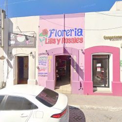 Floreria Liliz Y Rosales
