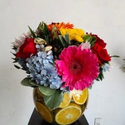 Florería Lily