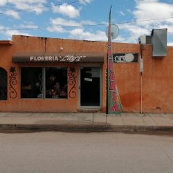 Floreria Lilys