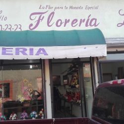 Florería Lilys