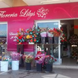 Florería Lilys