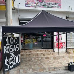 Florería Linares Alianza Real 🌹