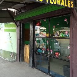 Floreria Linares B Reyes